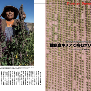 Newsweek Japan - The golden grain of the Andes