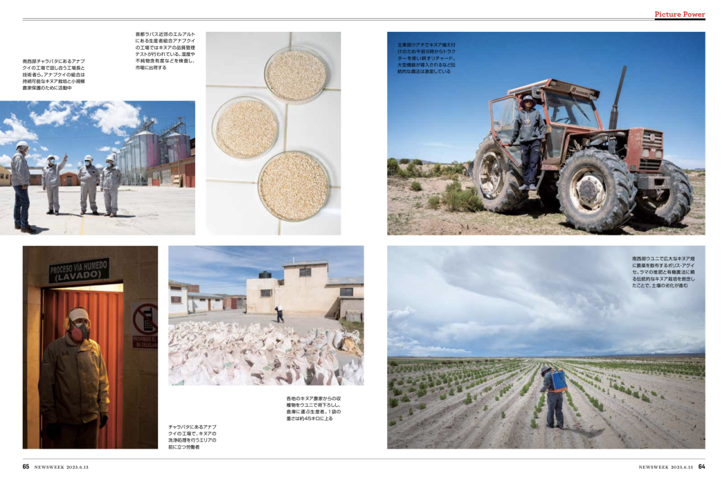 Newsweek Japan - The golden grain of the Andes